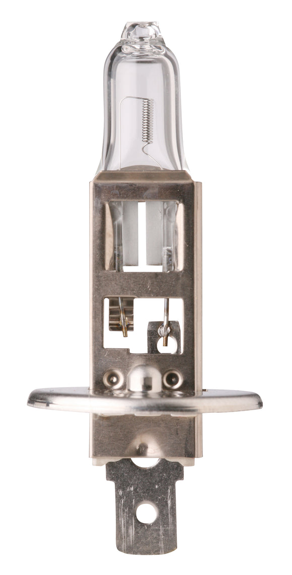 BULB HALOGEN 12v H1 +50 XENON (PAIR)