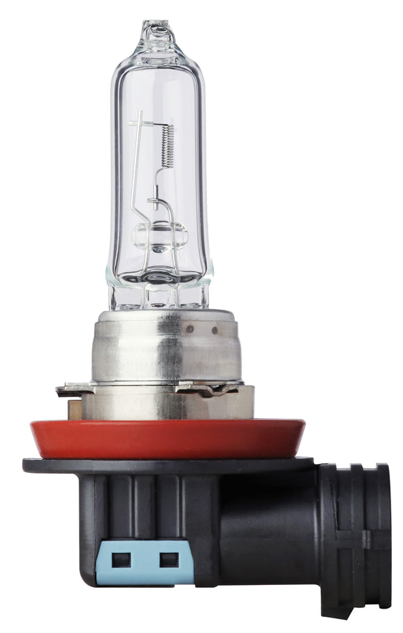 BULB HALOGEN 12v H9 65w PGJ19